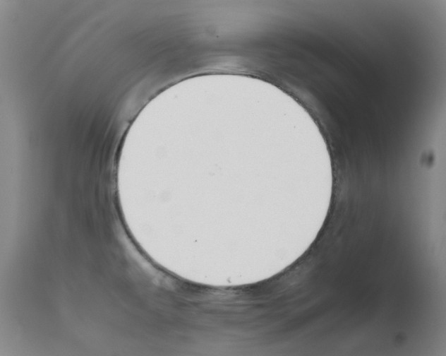 X0000111881479200909031828