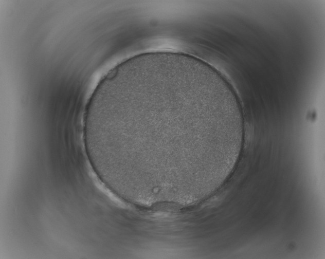 X0000111881480200909031828