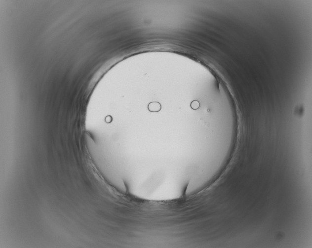 X0000111881481200909031828