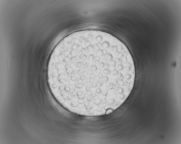 X0000111881483200909031828
