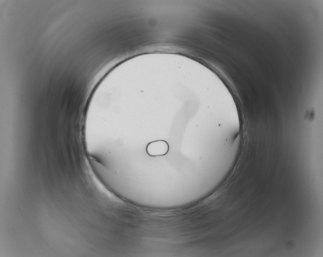 X0000111881484200909031828