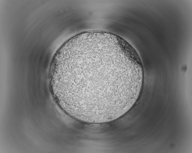 X0000111881485200909031828