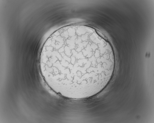 X0000111881488200909031828