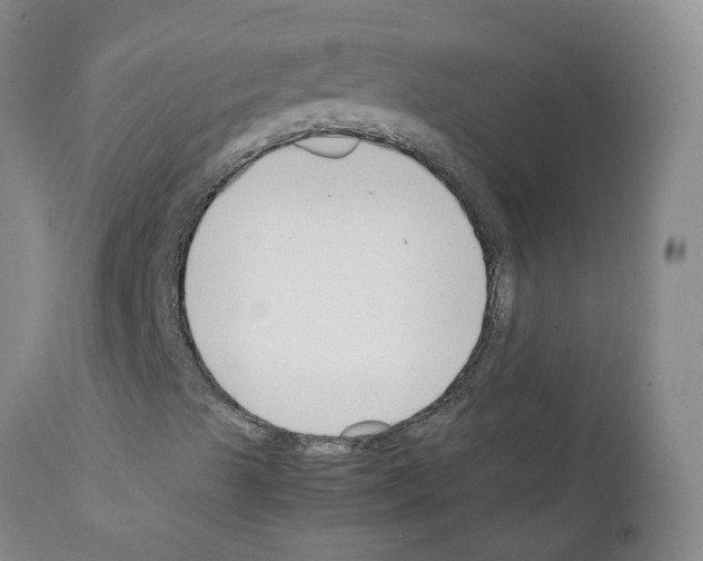 X0000111881489200909031827