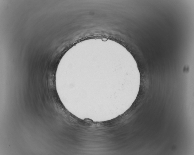 X0000111881490200909031827