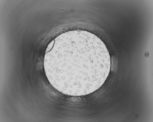 X0000111881491200909031827