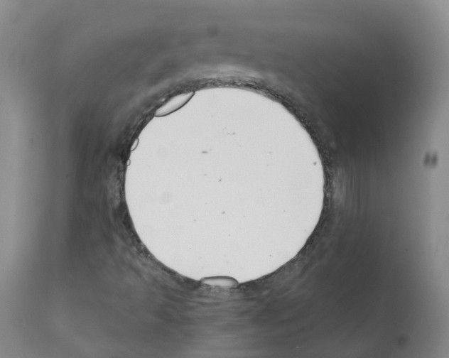 X0000111881493200909031827