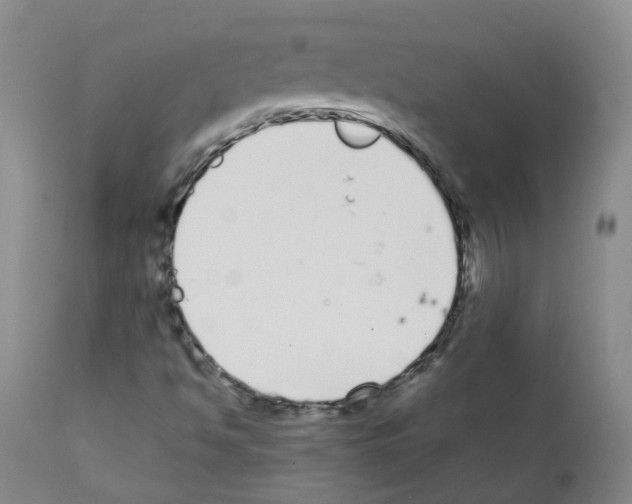 X0000111881494200909031827