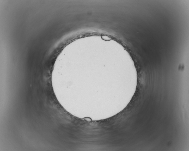 X0000111881495200909031827