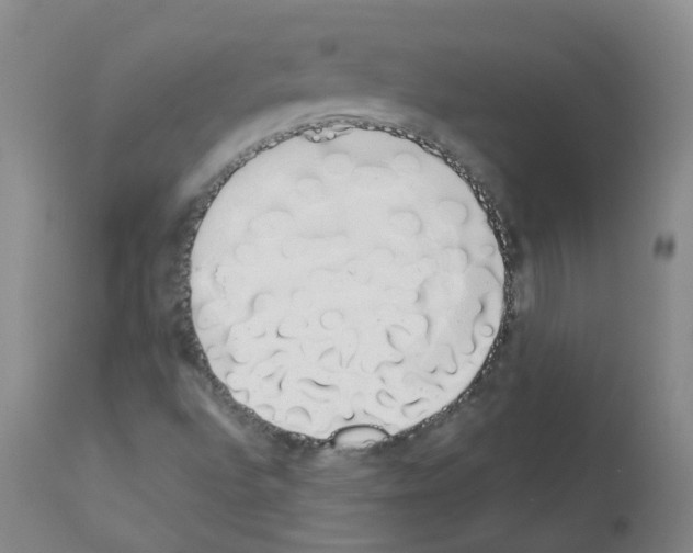 X0000111881496200909031827