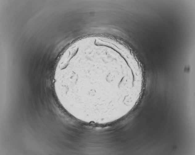 X0000111881497200909031827
