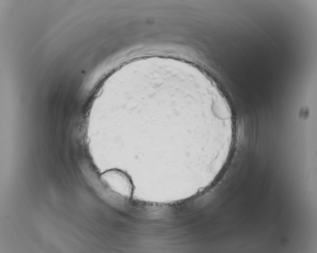 X0000111881498200909031827