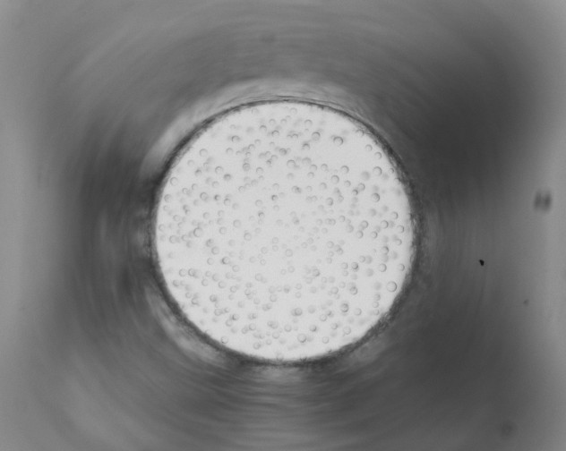 X0000111881499200909031827