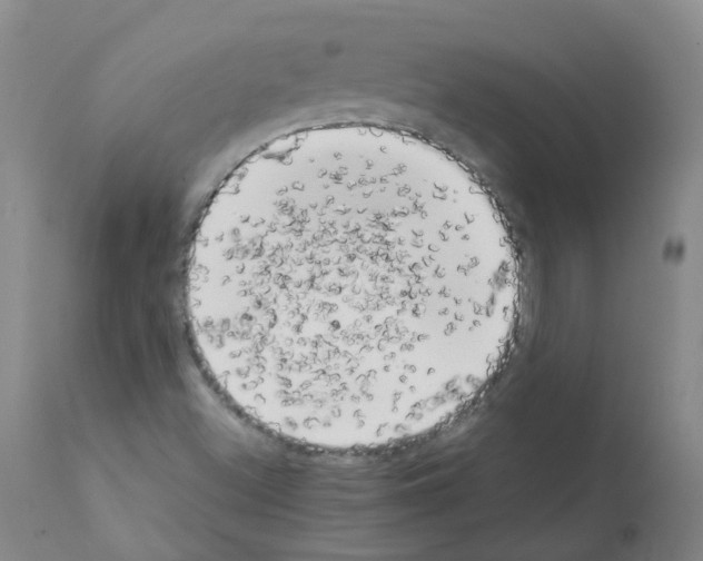 X0000111881500200909031827