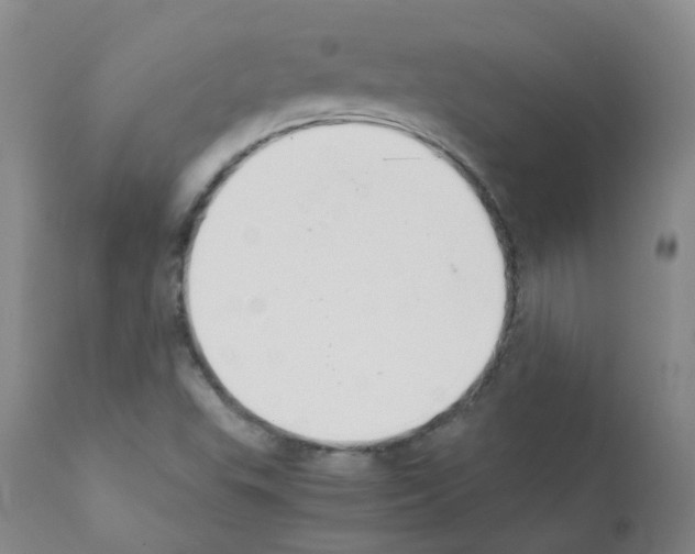 X0000111881503200909031827