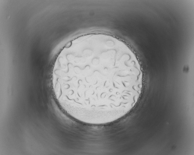 X0000111881504200909031827