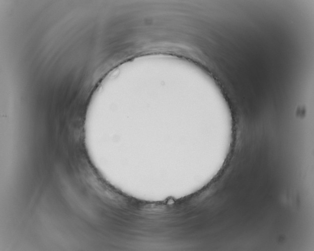 X0000111881505200909031827