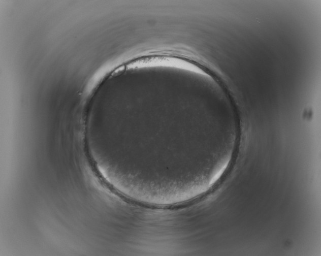 X0000111881506200909031827