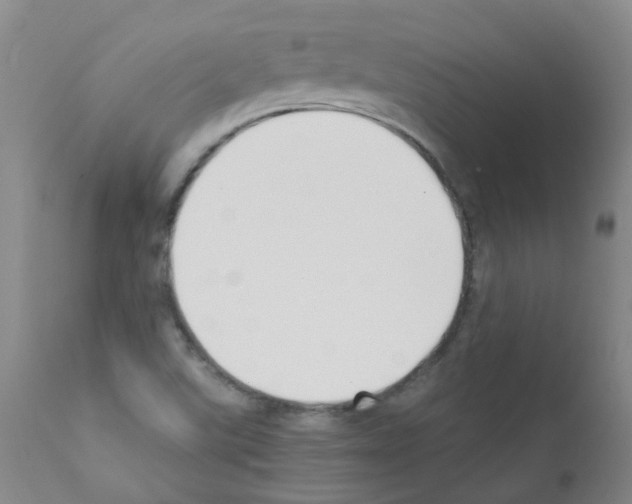 X0000111881507200909031827