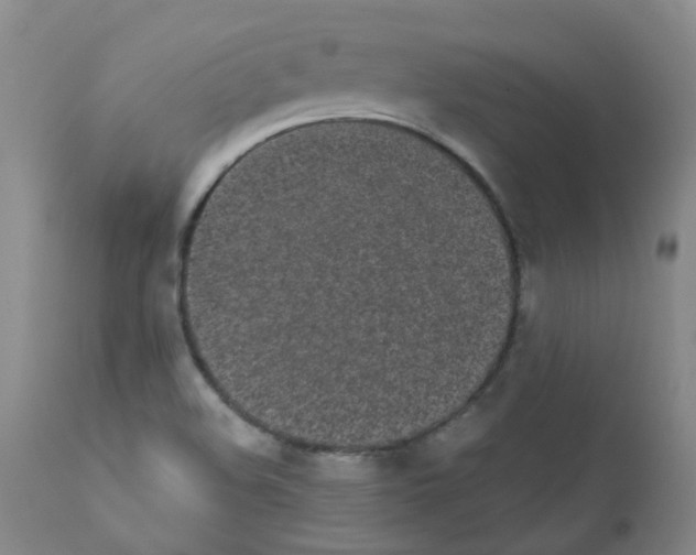 X0000111881508200909031827