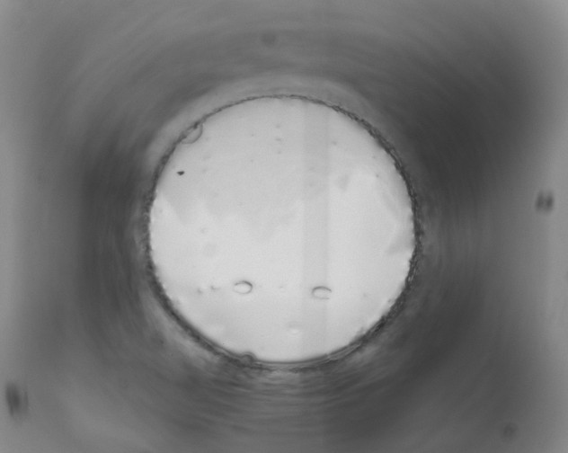 X0000111881510200909031827