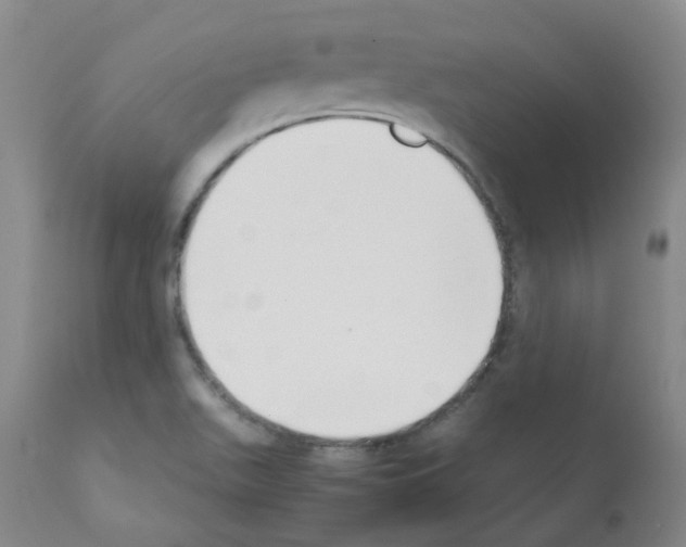 X0000111881511200909031827