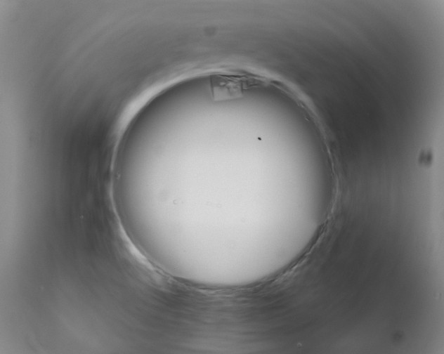 X0000111881512200909031827