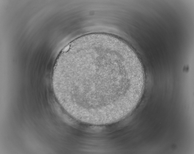 X0000111881513200909031827
