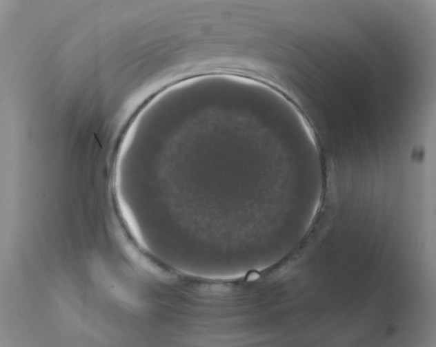X0000111881515200909031828