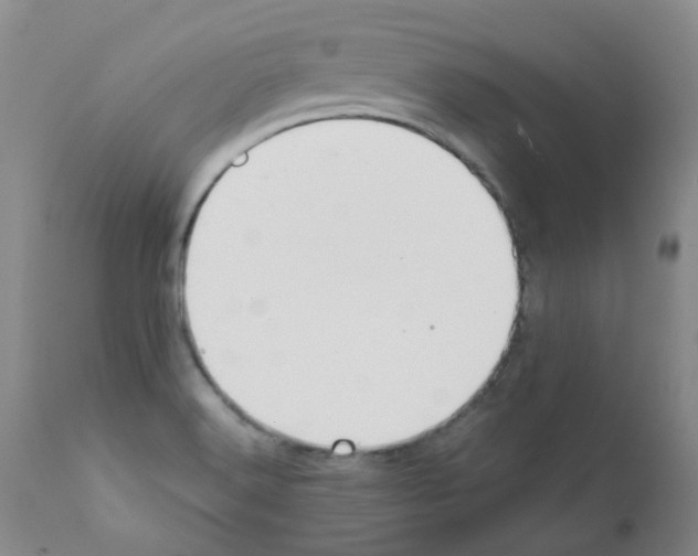 X0000111881516200909031828