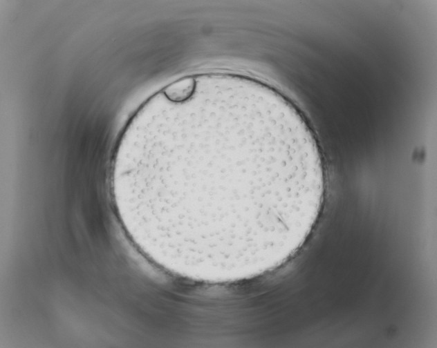 X0000111881517200909031828