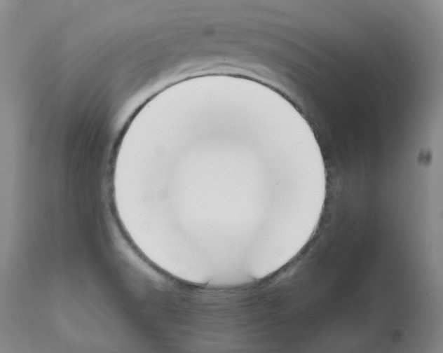 X0000111881518200909031828