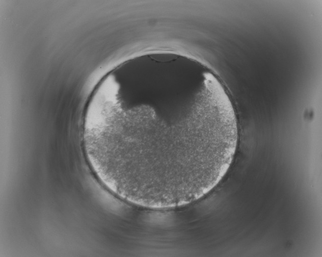 X0000111881519200909031828
