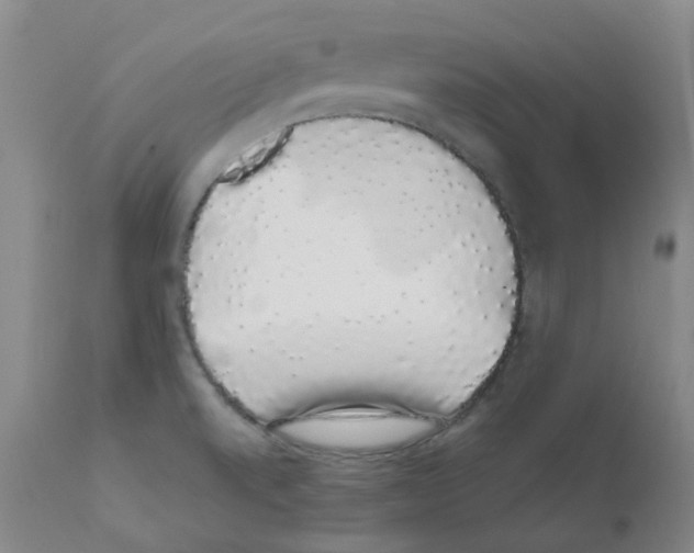 X0000111881520200909031828