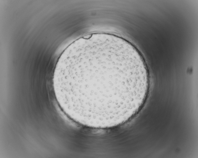 X0000111881521200909031828
