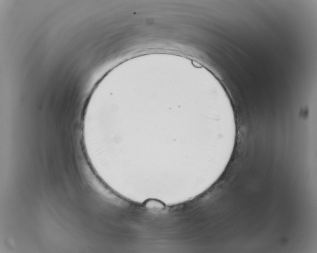 X0000111881523200909031828