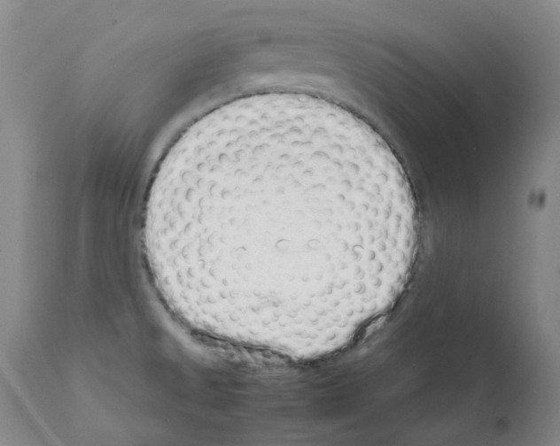X0000111881525200909031828