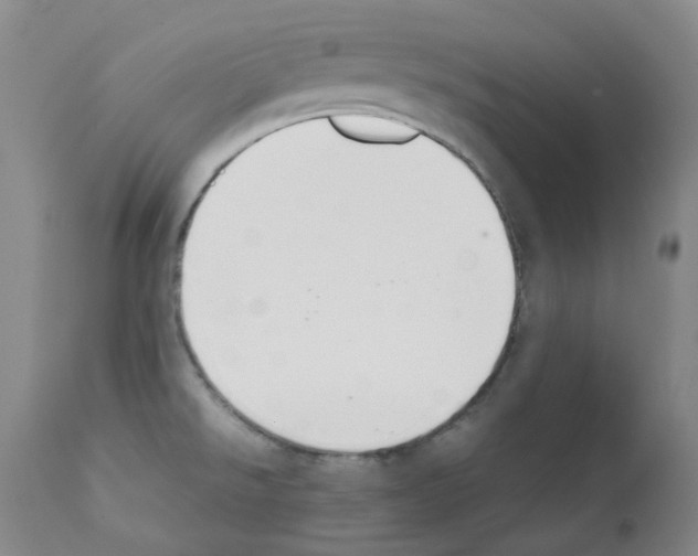 X0000111881526200909031828