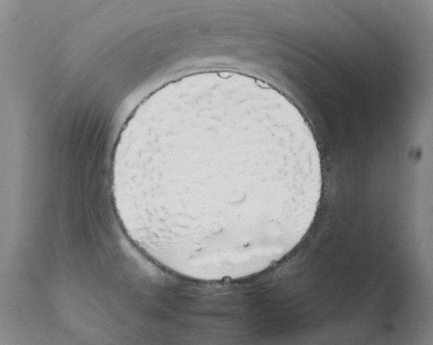 X0000111881527200909031828