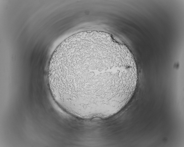 X0000111881528200909031828