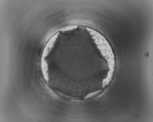 X0000111881529200909031828