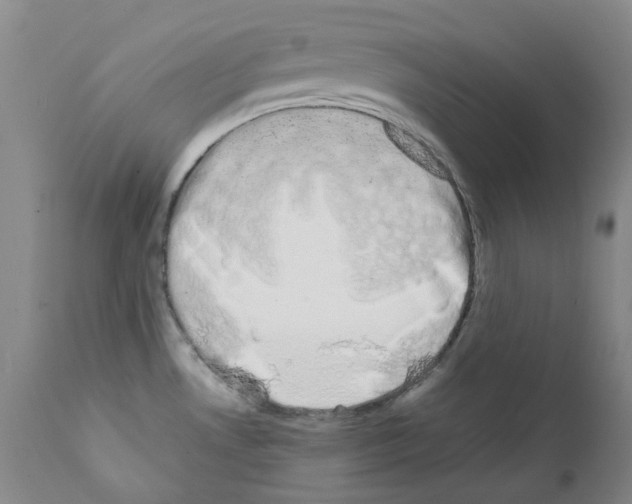 X0000111881530200909031828