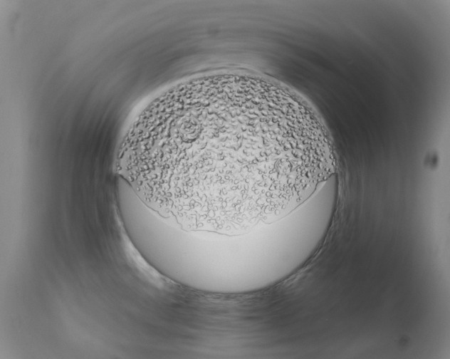 X0000111881532200909031828