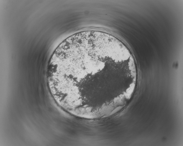 X0000111881533200909031828