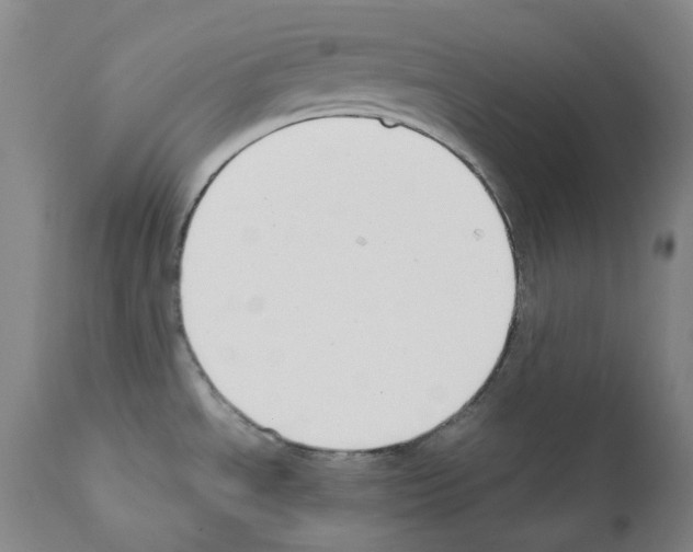 X0000111881534200909031828