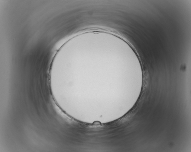 X0000111881535200909031828