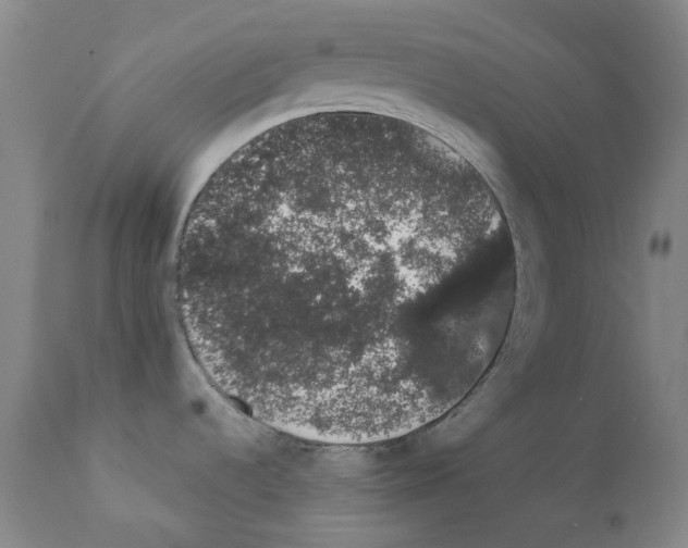 X0000111881536200909031828