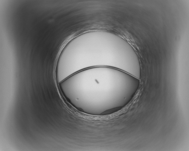 X0000111890003200907231457