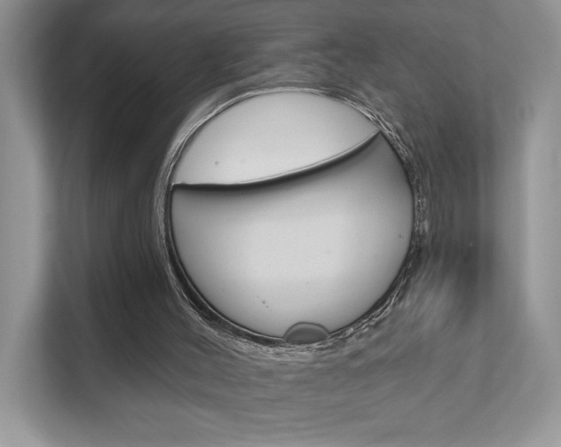 X0000111890004200907231457