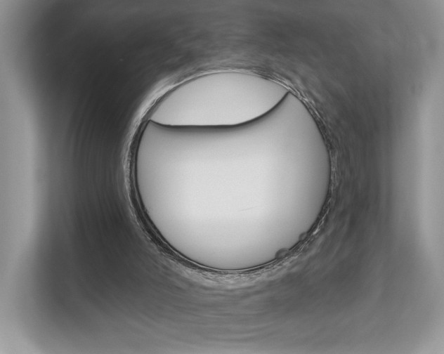 X0000111890006200907231457